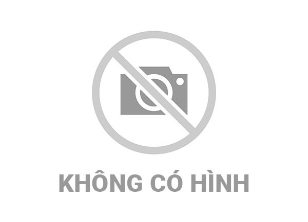 <a href="/tin-tuc-thong-bao" title="Tin tức - Thông báo" rel="dofollow">Tin nhà trường</a>